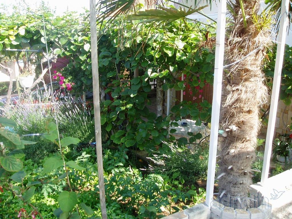 Kiwi Apartments Gornji Karin Luaran gambar